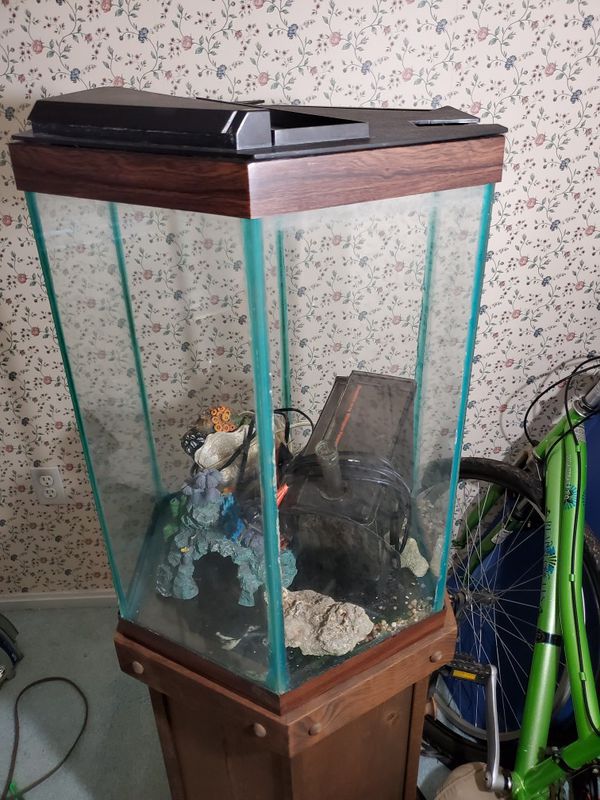 Hexagon fish tank for Sale in Ellicott City, MD OfferUp