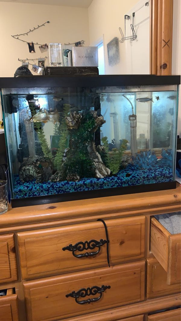 25 Gallon Fish Tank - Asking List