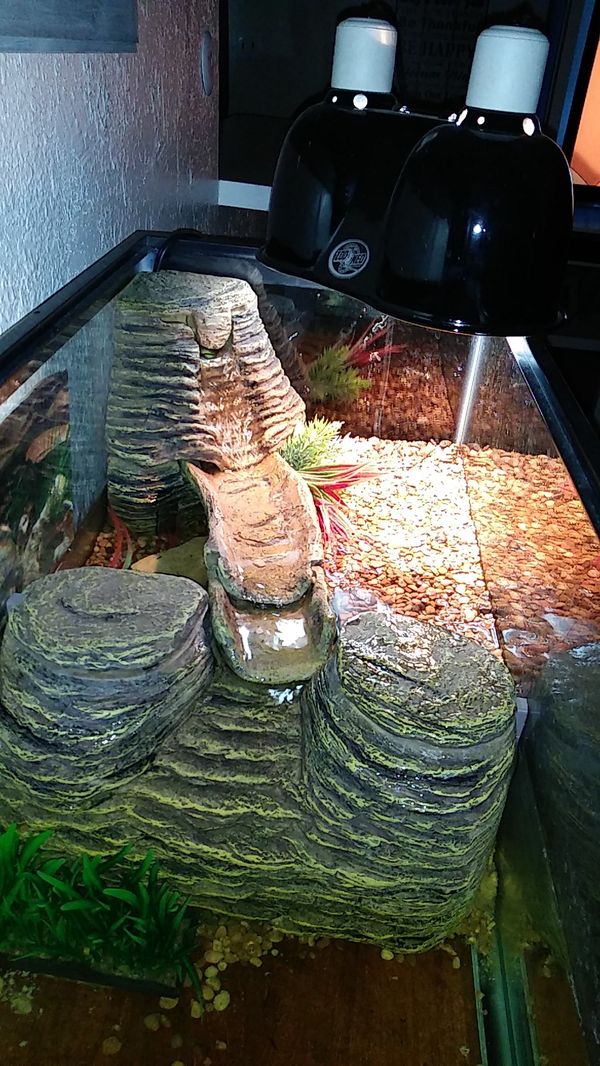 20 gallon turtle tank complete setup for Sale in Wilmington, CA - OfferUp