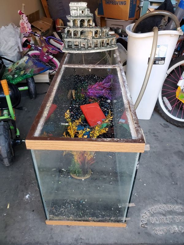 cheap-fish-tanks-for-sale-in-phoenix-az-offerup