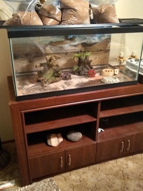 50 gal Terrarium, stand, and accessories for Sale in Arlington, WA OfferUp