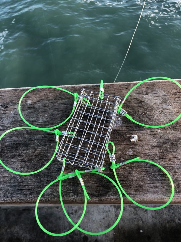 airfly crab snare