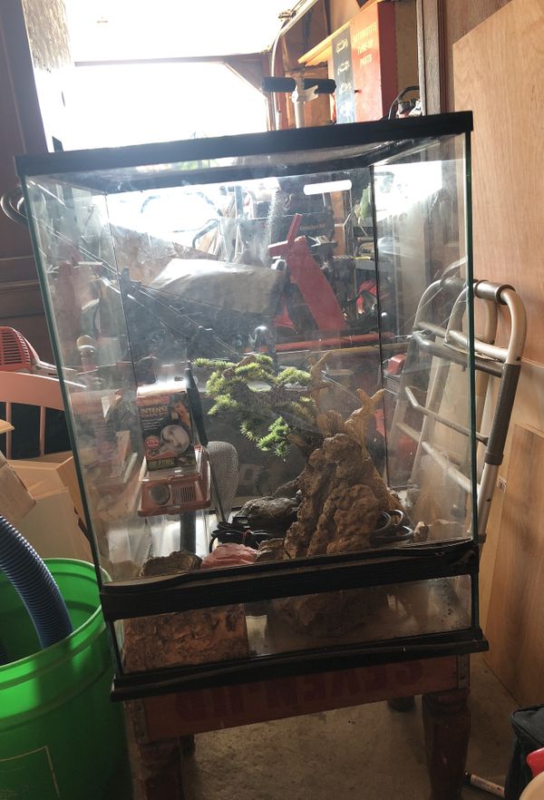 Lizard tank with stuff inside for Sale in Roselle, IL - OfferUp