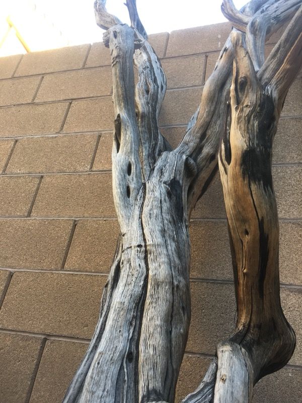 Manzanita wood for Sale in Las Vegas, NV OfferUp