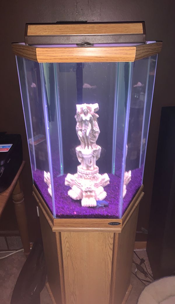 36 Gal Oceanic Hexagon Fish Tank / aquarium for Sale in Stickney, IL