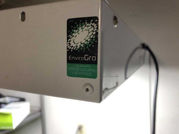 T5 Enviro Gro 8 Bulb Grow Fluorescent Light for Sale in ...