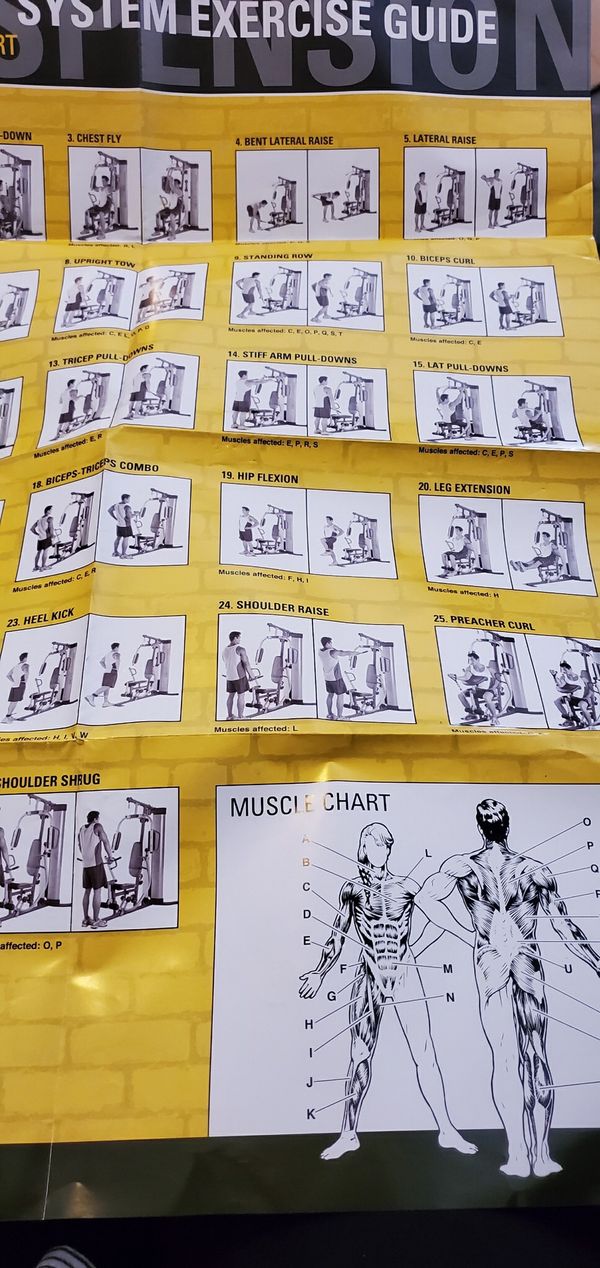 Gold Gym Xr 55 Exercise Chart Pdf