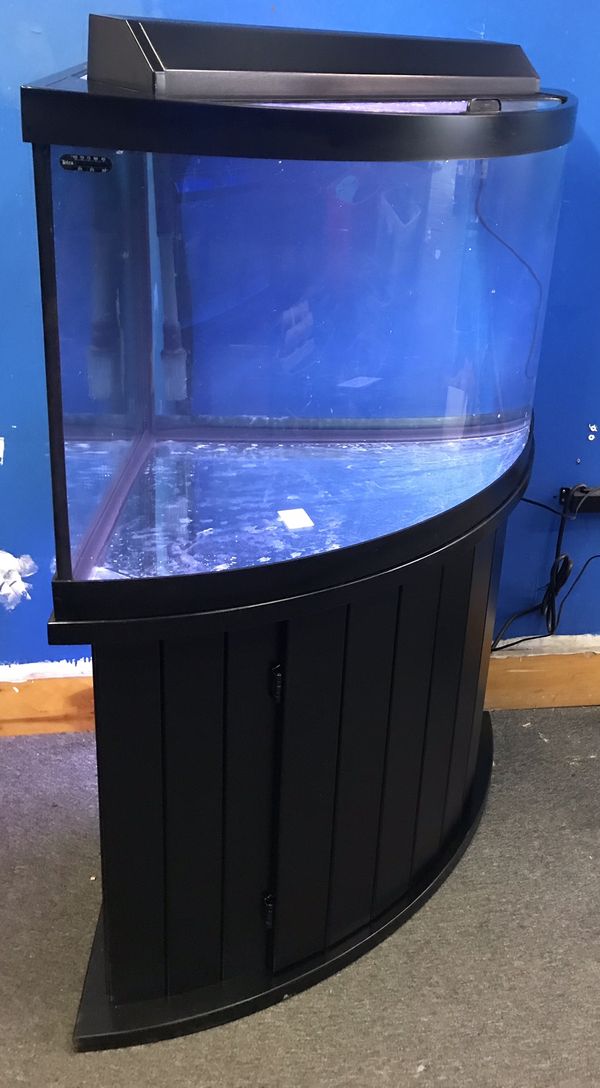 54 gallon corner Bowfront Aquarium fish tank complete $400 for Sale in