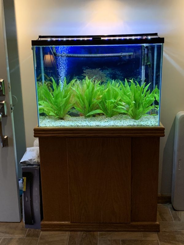 37 Gallon Fishtank for Sale in Sunnyvale, CA - OfferUp