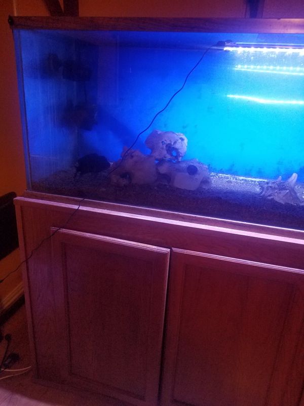 Fish tank 200 gallon for Sale in San Antonio, TX OfferUp