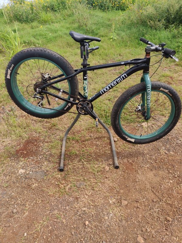 fat bike giant momentum