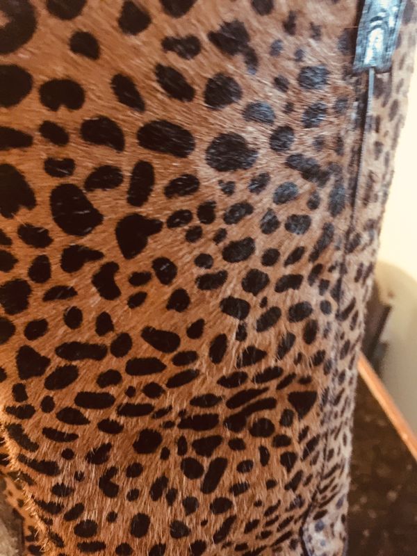cheetah print twisted x shoes