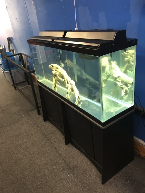 55 gallon Aquarium fish tank complete set up 300 for Sale in