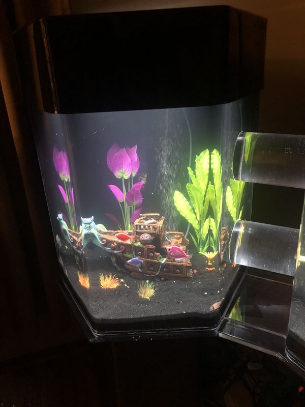 Unique Clarity Plus doublehexagon acrylic fresh water aquarium/ fish