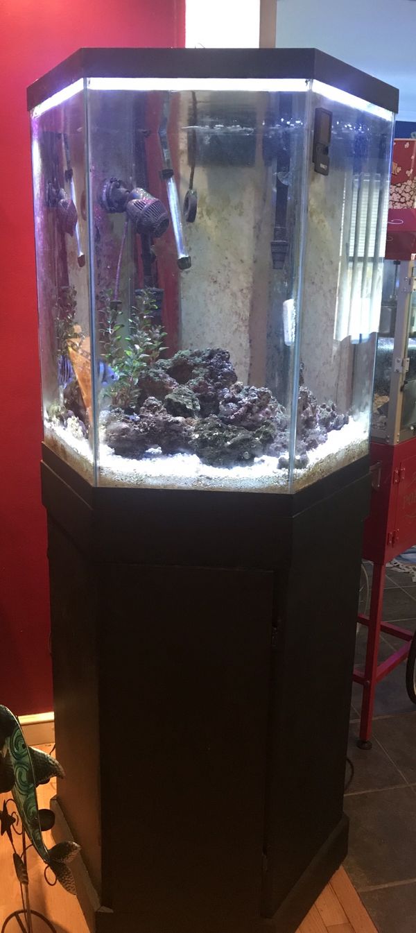60 Hex fish tank for Sale in Saugus, MA OfferUp