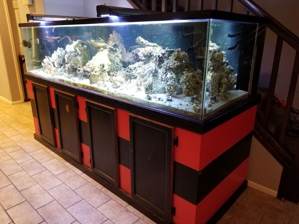 240-gallon-salt-water-fish-tank-for-sale-in-hesperia-ca-offerup