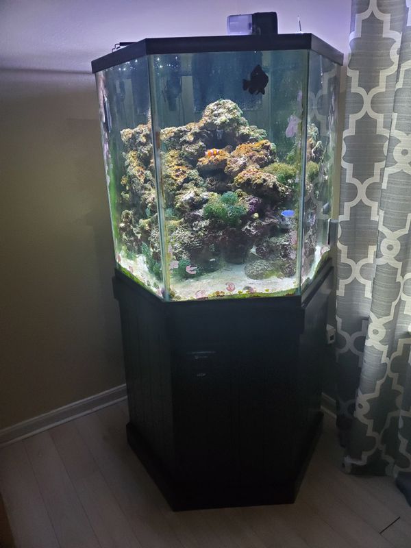 90 gallon hexagon aquarium for Sale in Houston, TX OfferUp