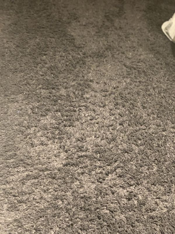 Thomasville Shag Rug 8x10 for Sale in Fremont, CA OfferUp