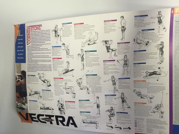 Vectra Home Gym for Sale in Mahopac, NY OfferUp