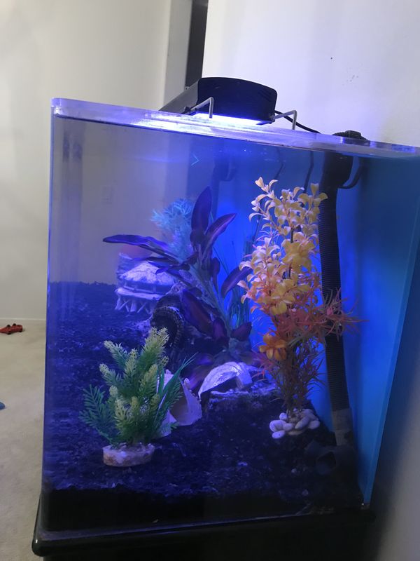 100 gallon acrylic aquarium full set up with stand for Sale in