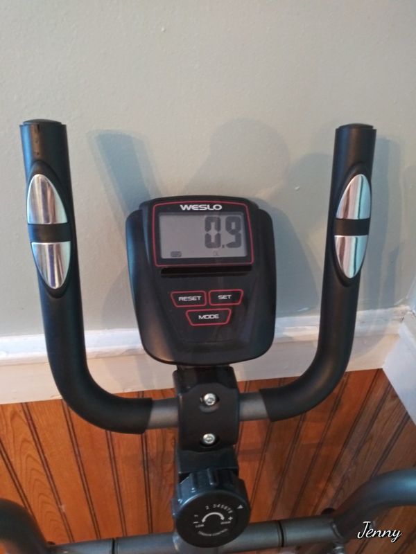 Weslo momentum G 3.2 for Sale in Saint Paul, MN - OfferUp