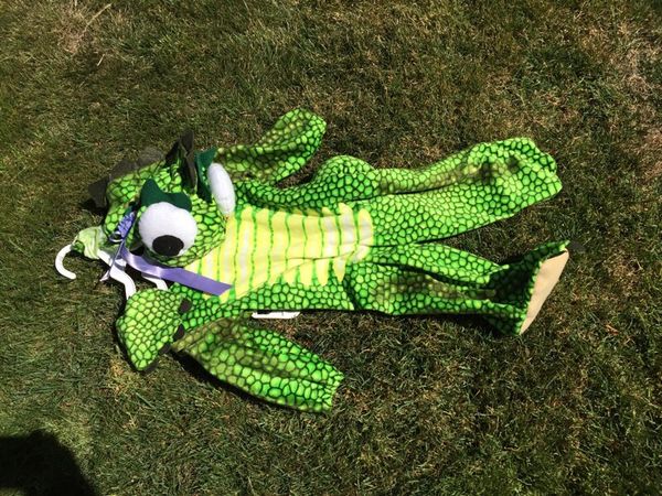 Pascal The Chameleon Costume 6-12 Mos For Sale In Snoqualmie, Wa - Offerup