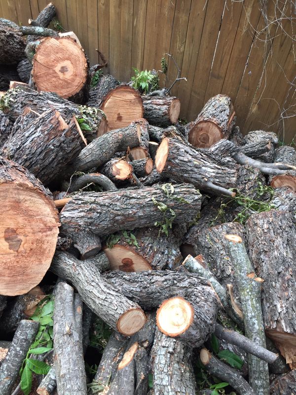 Pecan wood for Sale in San Antonio, TX - OfferUp