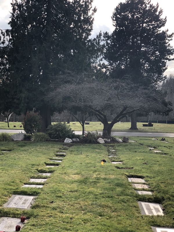 Cemetery Burial Plot ( EvergreenWashelli Memorial Park) for Sale in