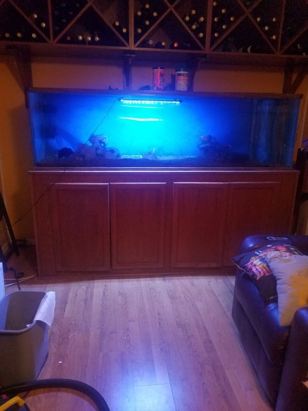 Fish tank 200 gallon for Sale in San Antonio, TX OfferUp