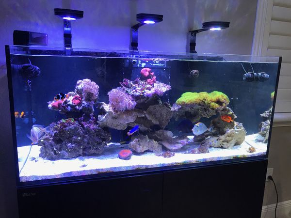 Red Sea reefer 350 deluxe complete for Sale in Miami, FL - OfferUp