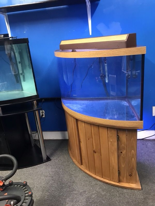 92 gallon corner Bowfront Aquarium fish tank complete set up 700 for