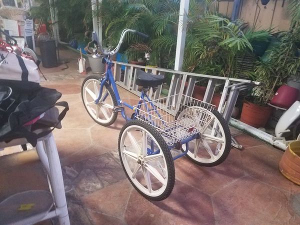 miami sun 3 wheel bike
