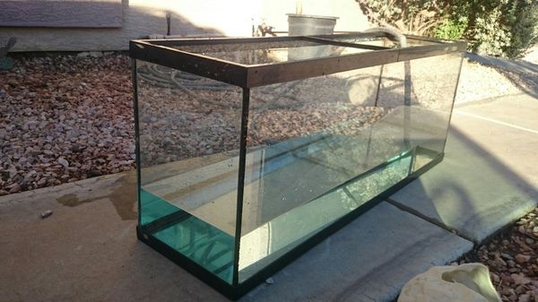 55 gallon fish tank only for Sale in Phoenix, AZ - OfferUp