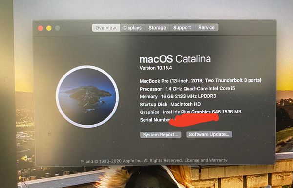 Apple Macbook Pro 13inch 2019 for Sale in Elk Grove, CA - OfferUp