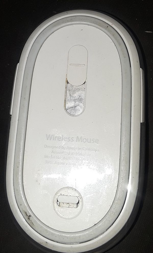 Mouse