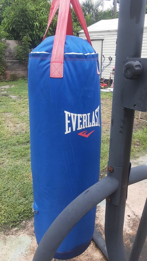 Everlast Heavy Duty Punching Bag