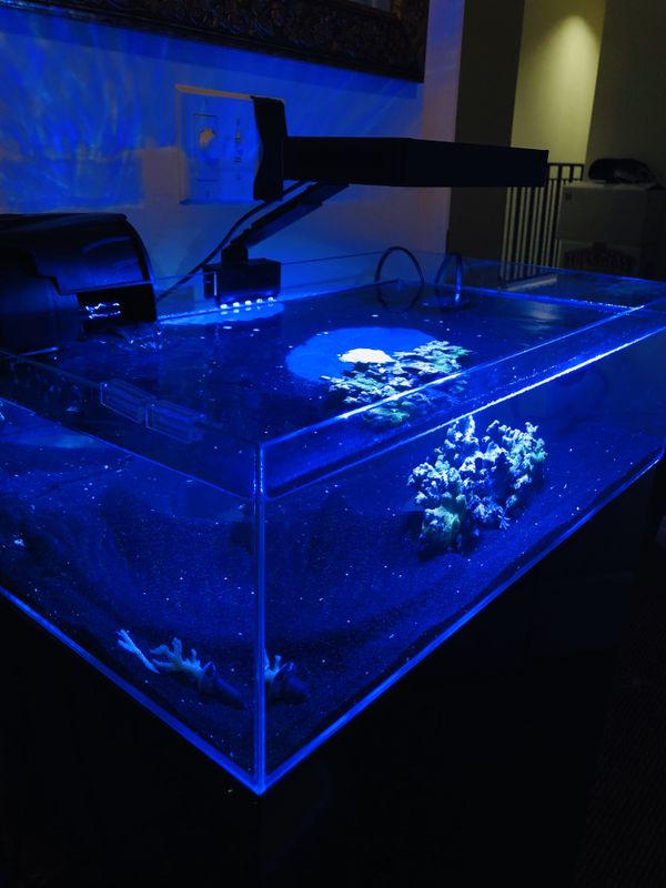 10 gallon shallow/lagoon/frag tank style aquarium with stand for Sale ...