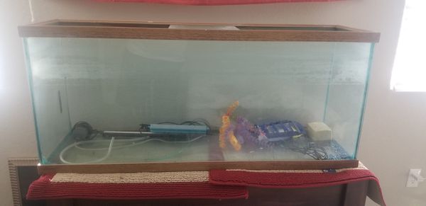 80 gallon tank for Sale in Sparks, NV - OfferUp