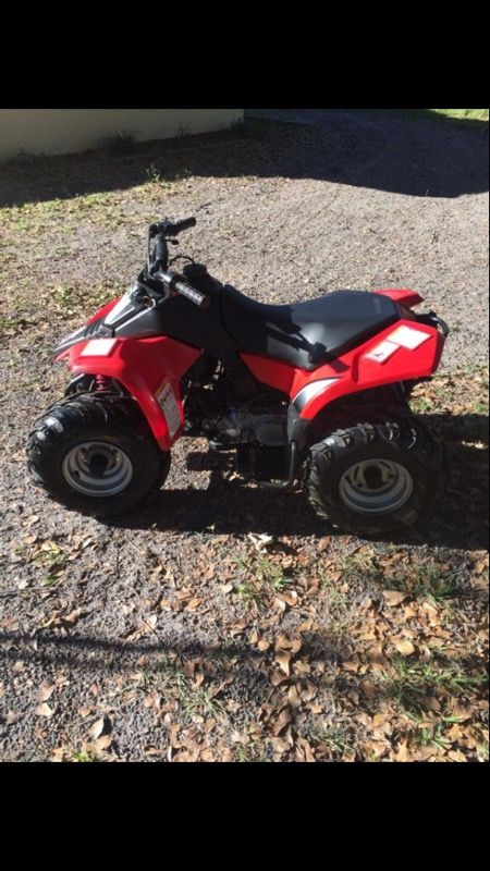 Lt 80/lt80/80cc/4 wheeler/Suzuki lt80 for Sale in Tampa, FL - OfferUp