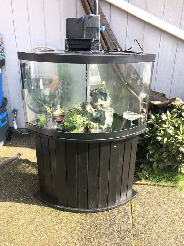 Aqueon 54 gallon Corner Aquarium for Sale in Puyallup, WA - OfferUp