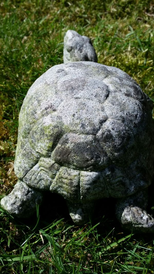 Cement Turtle Yard Art for Sale in Bellevue, WA - OfferUp