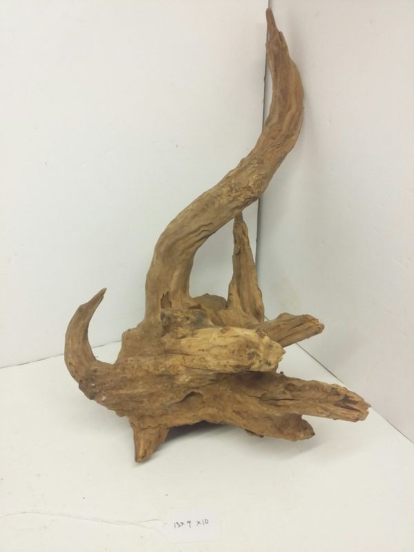 Malaysian driftwood for Sale in Orlando, FL OfferUp