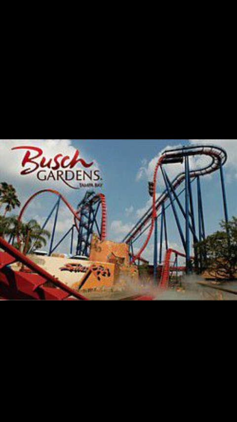 busch gardens tickets busch gardens tickets