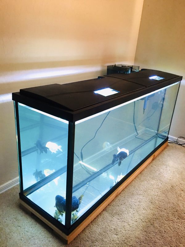 Fish Tank Aquarium 50 Gallon Top Fin Like New 2019 for Sale in El ...