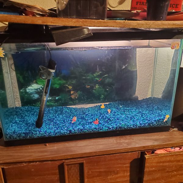 30 gallon glass fish tank for Sale in Spokane, WA - OfferUp
