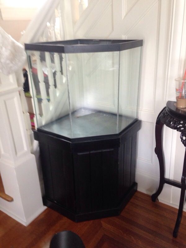Corner fish tank and stand for Sale in Bangor, PA OfferUp
