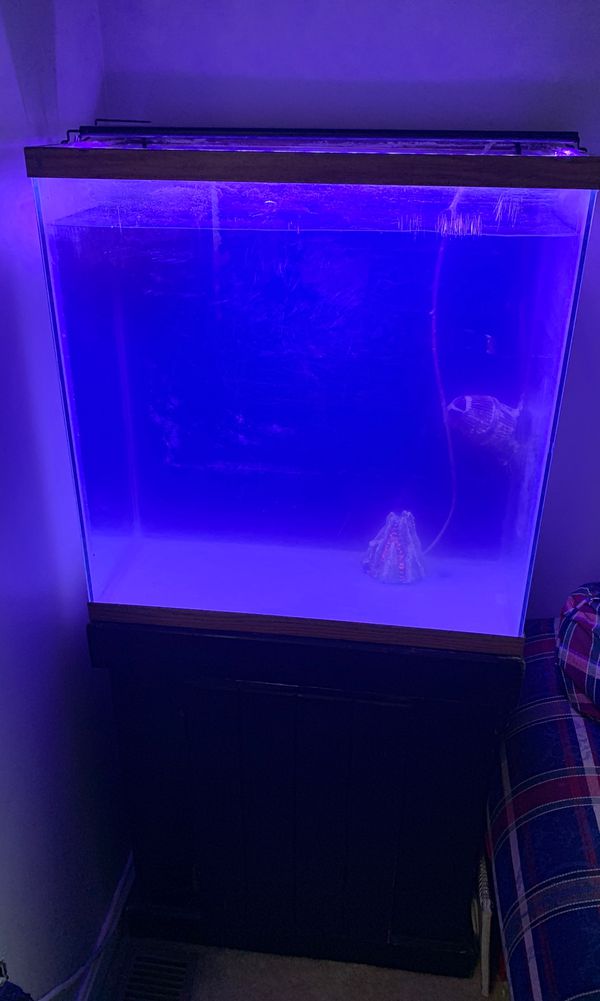 40 gallon tall aquarium with reef light and stand for Sale ...
