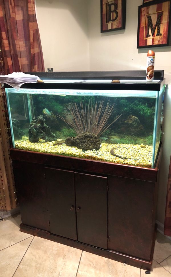 90 gallon fish tank