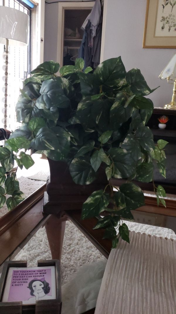 Artificial ivory plant serous buyers plz for Sale in Houston, TX OfferUp