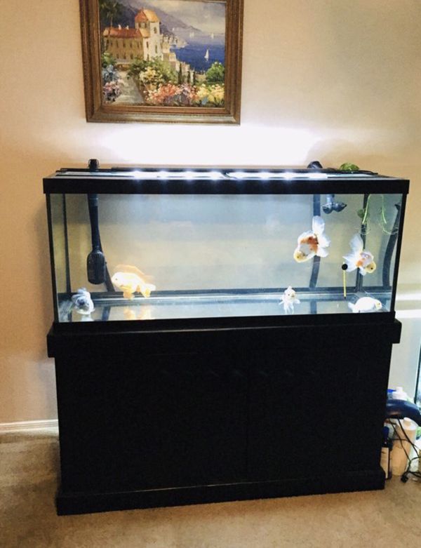 Fish Tank Aquarium 75 Gallon MARINELAND Like New 2019 for Sale in ...